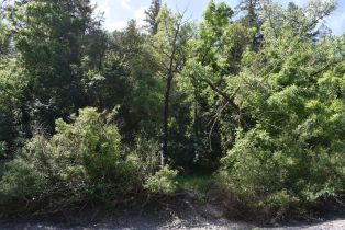 Residential Lot,  Riverview drive, Healdsburg, CA 95448 - 13