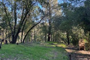 Residential Lot,  Riverview drive, Healdsburg, CA 95448 - 3