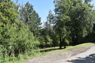 Residential Lot,  Riverview drive, Healdsburg, CA 95448 - 4