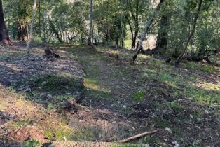 Residential Lot,  Riverview drive, Healdsburg, CA 95448 - 10