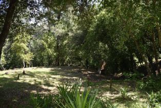 Residential Lot,  Riverview drive, Healdsburg, CA 95448 - 7