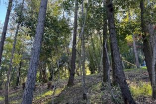 Residential Lot,  Riverview drive, Healdsburg, CA 95448 - 9