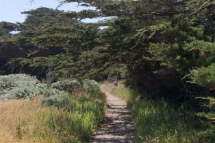 Single Family Residence, Ballast none, Sea Ranch, CA 95497 - 61