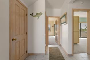 Single Family Residence, Ballast none, Sea Ranch, CA 95497 - 9