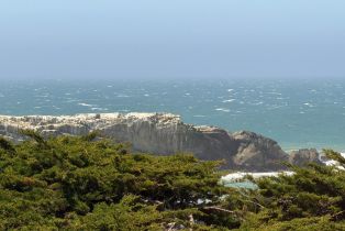 Single Family Residence, Ballast none, Sea Ranch, CA 95497 - 45