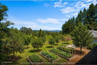 Single Family Residence,  Vine Hill School Rd road, Sebastopol, CA 95472 - 71