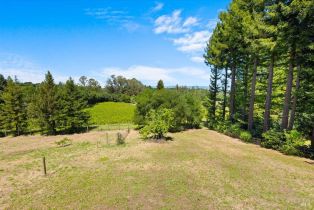 Single Family Residence,  Vine Hill School Rd road, Sebastopol, CA 95472 - 69
