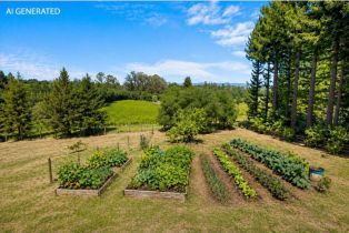 Single Family Residence,  Vine Hill School Rd road, Sebastopol, CA 95472 - 72