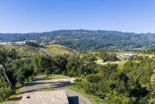 Residential Acreage,  Silverado trail, Calistoga, CA 94515 - 14