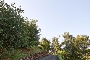 Residential Acreage,  Silverado trail, Calistoga, CA 94515 - 3