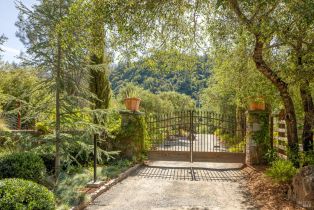 Single Family Residence,  Geysers road, Cloverdale, CA 95425 - 43