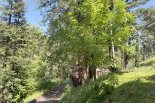 Single Family Residence,  Highway 128 highway, Cloverdale, CA 95425 - 23