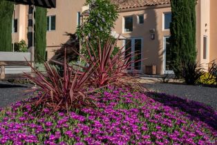 Single Family Residence,  Country Club lane, Sonoma, CA 95476 - 3