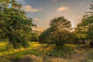Single Family Residence, Westline court, Santa Rosa, CA 95405 - 53