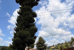 Residential Lot,  Dover court, Santa Rosa, CA 95403 - 17
