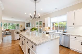 Single Family Residence, Catania court, Napa, CA 94558 - 22