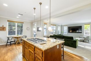 Single Family Residence, Catania lane, Napa, CA 94558 - 23