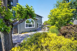 Single Family Residence,  Jason court, Petaluma, CA 94954 - 49