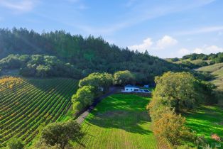 Single Family Residence,  Westside road, Healdsburg, CA 95448 - 21