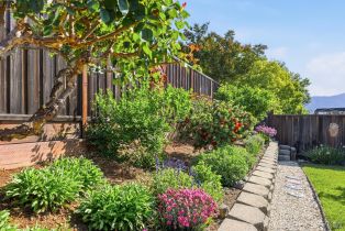 Single Family Residence,  Muscat drive, Cloverdale, CA 95425 - 24