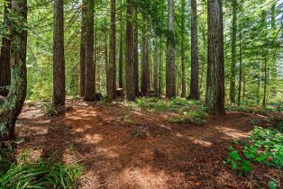 Single Family Residence,  Frati lane, Sebastopol, CA 95472 - 33