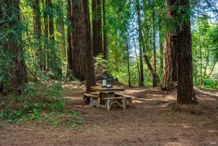 Single Family Residence,  Frati lane, Sebastopol, CA 95472 - 34