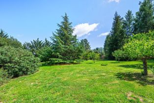 Single Family Residence,  Frati lane, Sebastopol, CA 95472 - 30