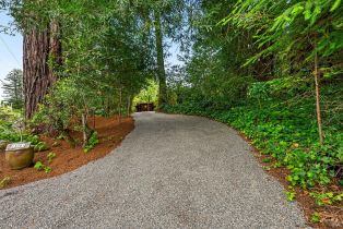Single Family Residence,  Frati lane, Sebastopol, CA 95472 - 15