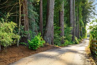 Single Family Residence,  Frati lane, Sebastopol, CA 95472 - 14