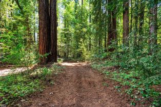 Single Family Residence,  Frati lane, Sebastopol, CA 95472 - 35