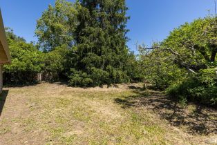 Single Family Residence,  Anthony street, Sebastopol, CA 95472 - 33