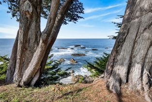 Single Family Residence,  Solstice none, Sea Ranch, CA 95497 - 65