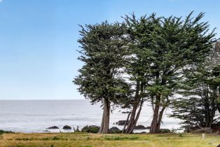Single Family Residence,  Solstice none, Sea Ranch, CA 95497 - 64