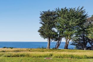Single Family Residence,  Solstice none, Sea Ranch, CA 95497 - 8