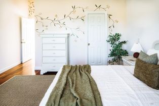 Single Family Residence,  Scotts Right of Way none, Sebastopol, CA 95472 - 56