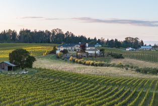 Single Family Residence,  Scotts Right of Way none, Sebastopol, CA 95472 - 75