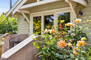 Single Family Residence,  Myrtledale road, Calistoga, CA 94515 - 5
