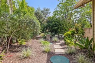 Single Family Residence,  Myrtledale road, Calistoga, CA 94515 - 43