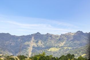 Single Family Residence,  Myrtledale road, Calistoga, CA 94515 - 45