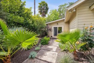 Single Family Residence,  Myrtledale road, Calistoga, CA 94515 - 28