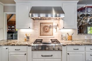 Single Family Residence, Hidden Lake road, Russian River, CA 95436 - 10