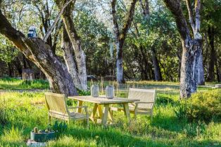 Single Family Residence,  Warm Springs road, Glen Ellen, CA 95442 - 29