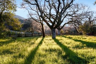 Single Family Residence,  Warm Springs road, Glen Ellen, CA 95442 - 49