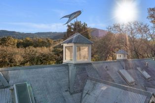 Single Family Residence,  Warm Springs road, Glen Ellen, CA 95442 - 4