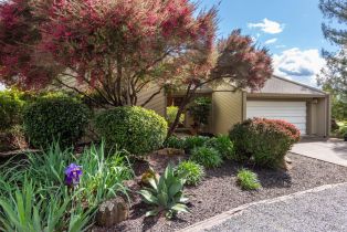Single Family Residence,  Red Tail road, Healdsburg, CA 95448 - 3
