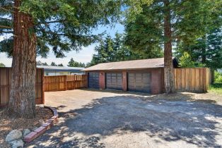 Single Family Residence,  Mcfarlane road, Sebastopol, CA 95472 - 31