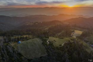 Agriculture,  Mount Veeder Road road, Napa, CA 94558 - 15