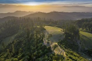 Agriculture,  Mount Veeder Road road, Napa, CA 94558 - 5