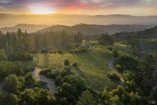 Agriculture,  Mount Veeder Road road, Napa, CA 94558 - 3