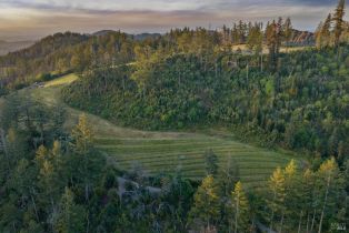 Agriculture,  Mount Veeder Road road, Napa, CA 94558 - 12